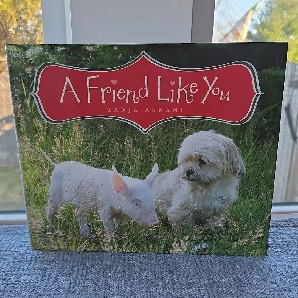 A Friend Like You Book